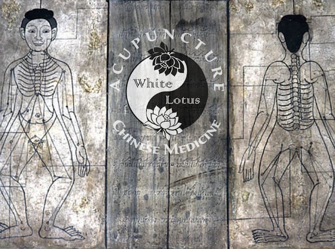 White Lotus Acupuncture & Chinese Herbal Medicine clinic