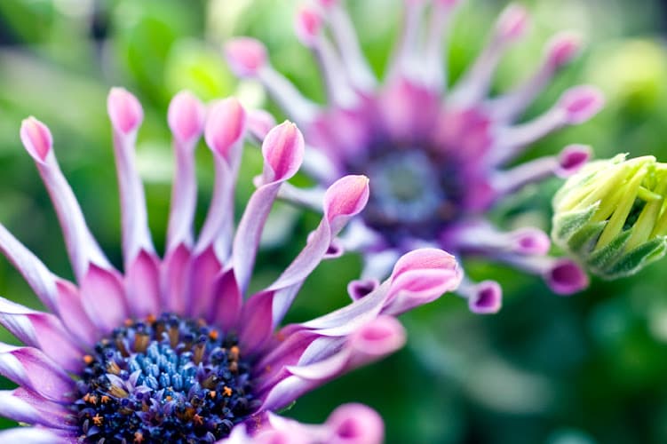 NJ Acupuncture Massage & Fertility - The Wellness Place clinic