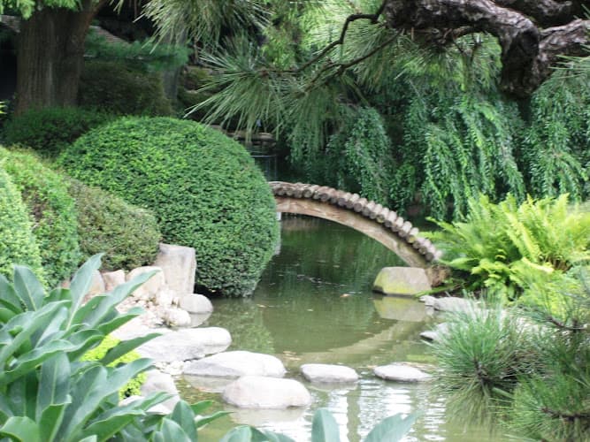 High Ridge Traditional Healing Arts clinic