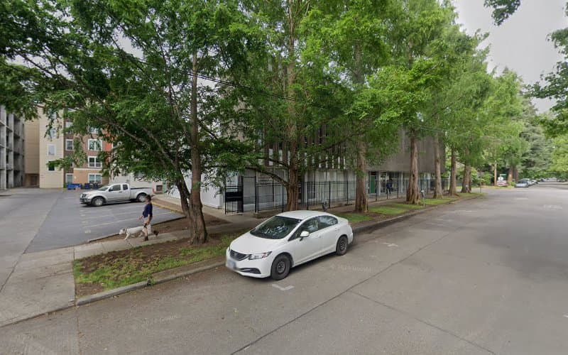 Acupuncture Therapy - Courtney Connell, LAc clinic