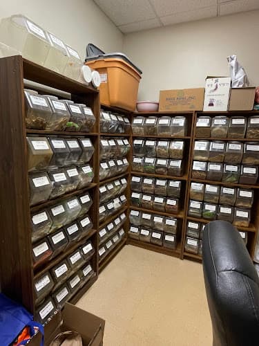 NEW LIFE Acupuncture - Centreville clinic