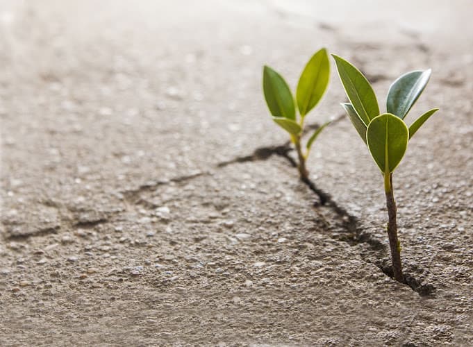 Thrive Integrative Health - Acupuncture- Kent/Covington/MapleValley clinic